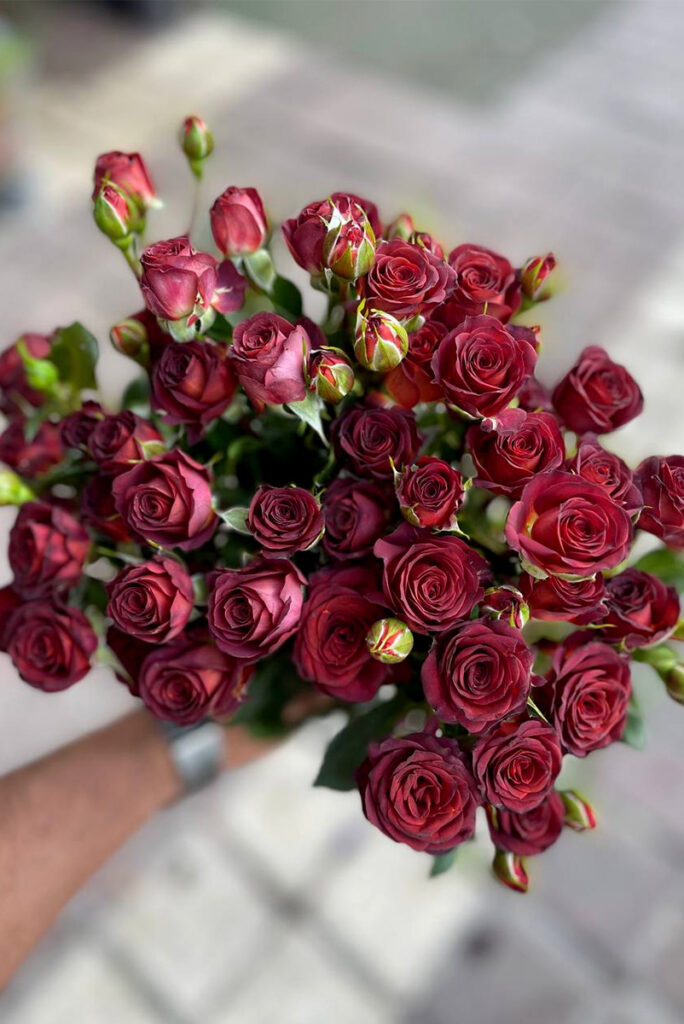 دسته گل رز زرشکی